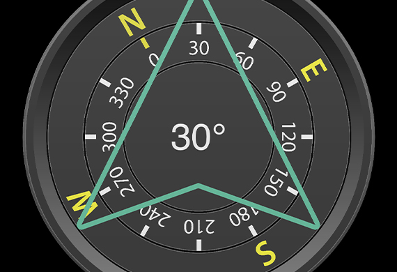 Compass Pro